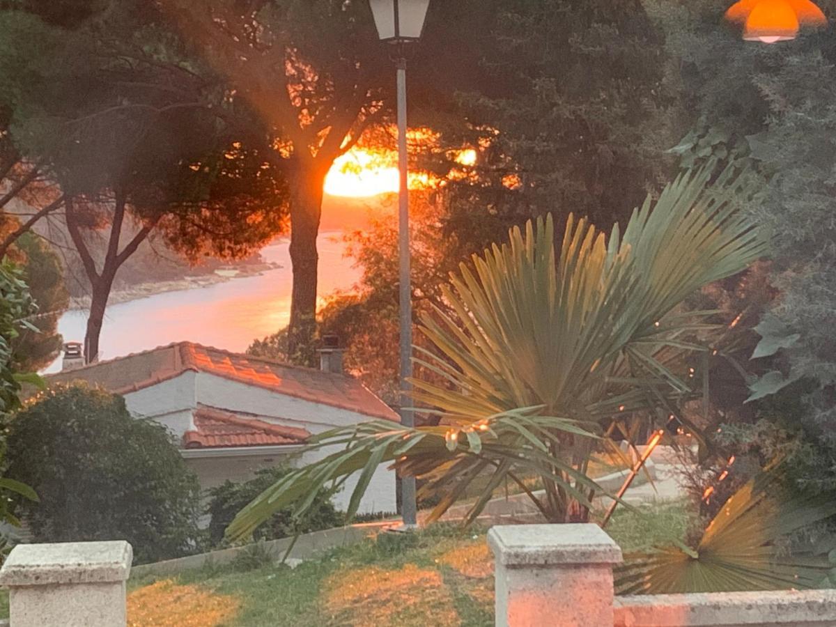 La Casita De Noe Con Vista Al Pantano De San Juan Villa ซาน มาร์่ติน เด วาลเดเกลเซียส ภายนอก รูปภาพ